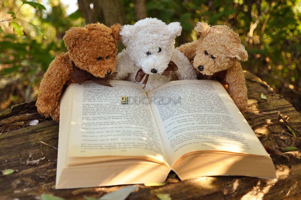 Medvedići čitaju knjigu