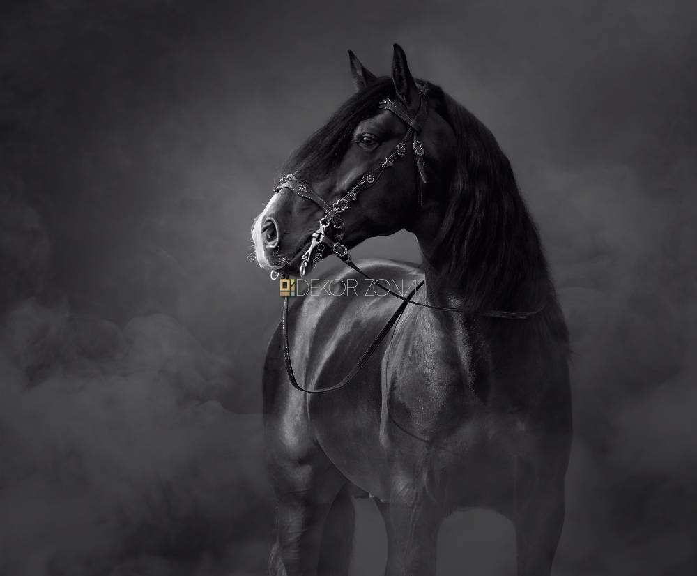 Tamni konj — klasičan portret